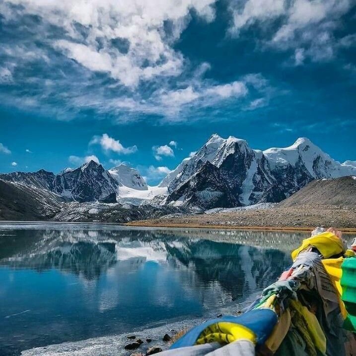 a4500380216589bc330e7b9891ff2c88